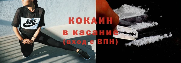 гидропоника Бородино