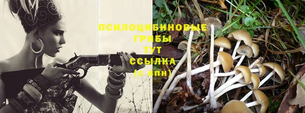 кокаин колумбия Бикин