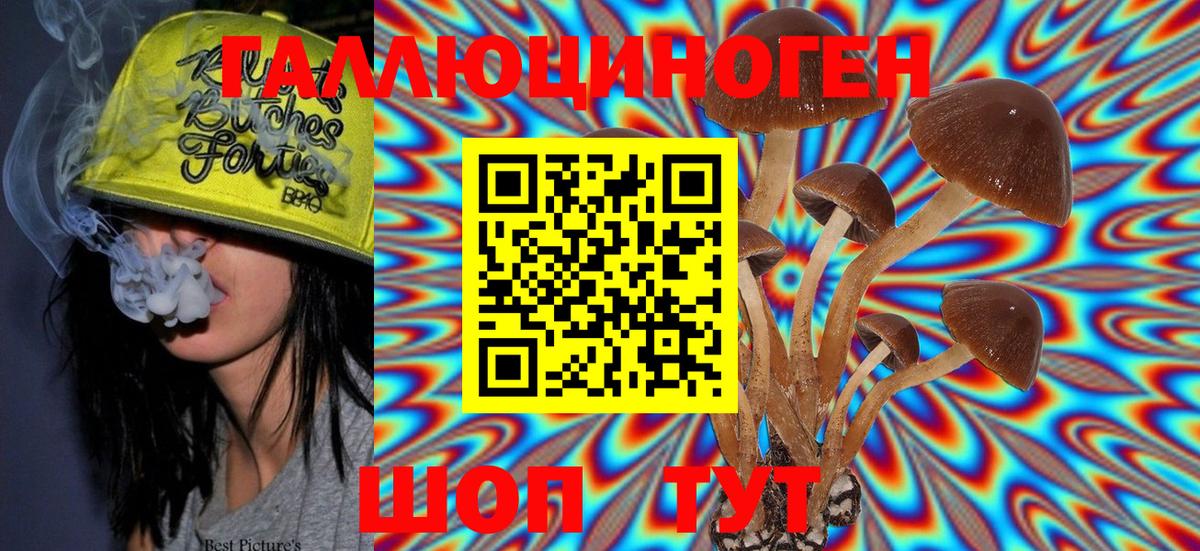Гатчина  Галлюциногенные грибы MAGIC MUSHROOMS  Вход с VPN 
