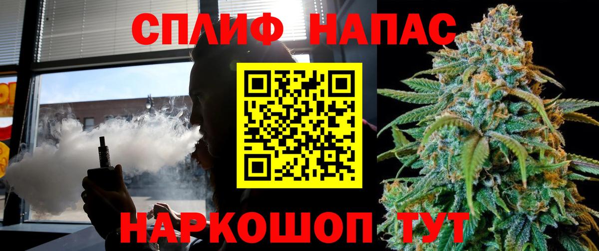 Канабис сатива Гатчина